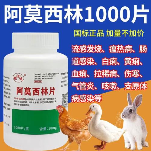 阿莫西林片 兽用1000片高效用药指南与鸡鸭常见病防治应用