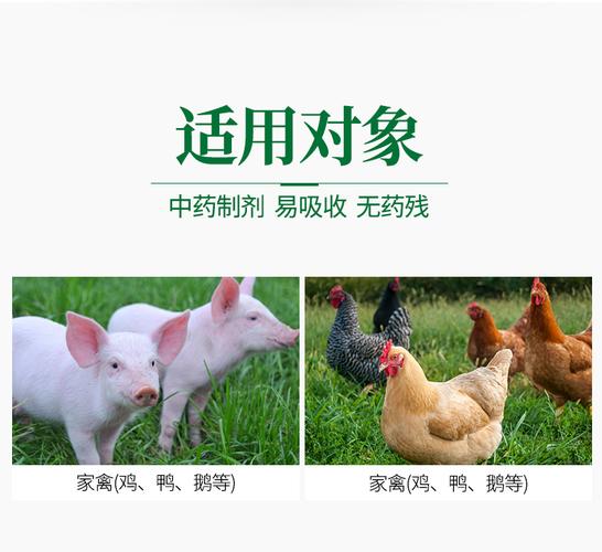 荆防败毒散整箱1000g*20袋 猪牛羊鸡鸭风寒恶寒,感冒流感